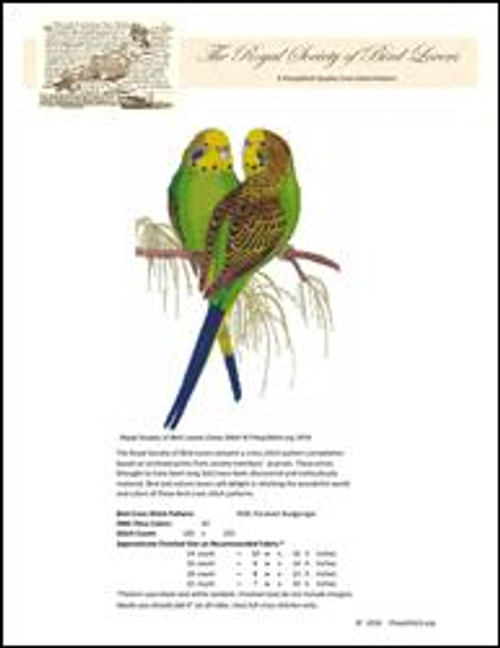 Rsbl Parakeet Budgerigar / Pinoystitch