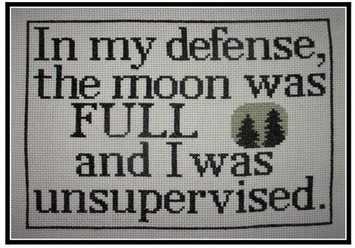 The Moon Was Full / The Stitcherhood