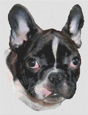 French Bulldog Puppy / White Willow Stitching