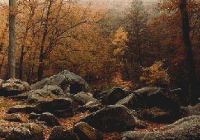 Autumn Forest / White Willow Stitching