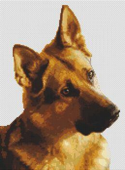 German Shepherd - Curiosity / White Willow Stitching