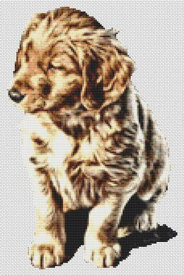 Golden Retriever Puppy / White Willow Stitching