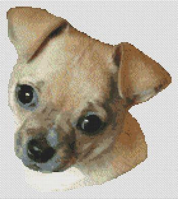 Fawn Chihuahua / White Willow Stitching