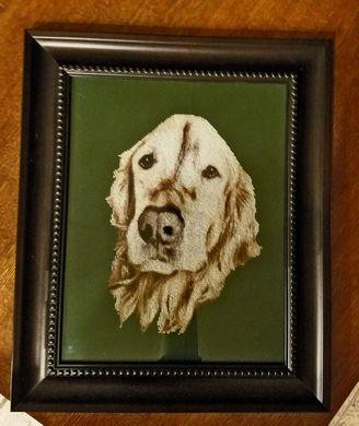 Jake - Golden Retriever / White Willow Stitching