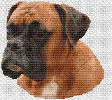 Boxer - Sally / White Willow Stitching