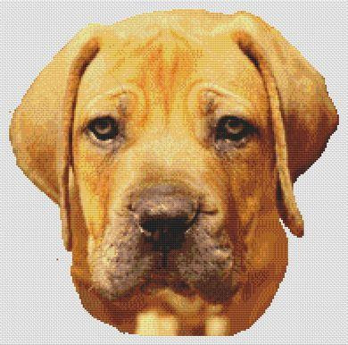 Boerboel / White Willow Stitching
