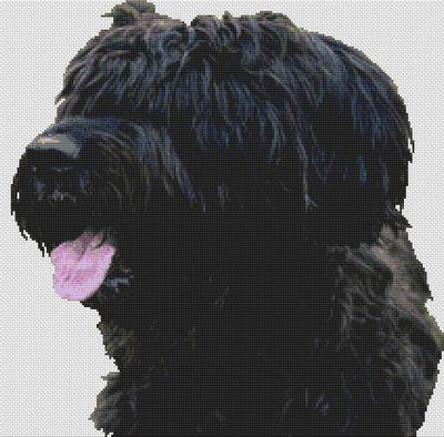 Black Briard / White Willow Stitching