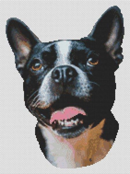 Boston Terrier Smile / White Willow Stitching