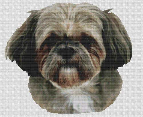 George - Shih Tzu / White Willow Stitching