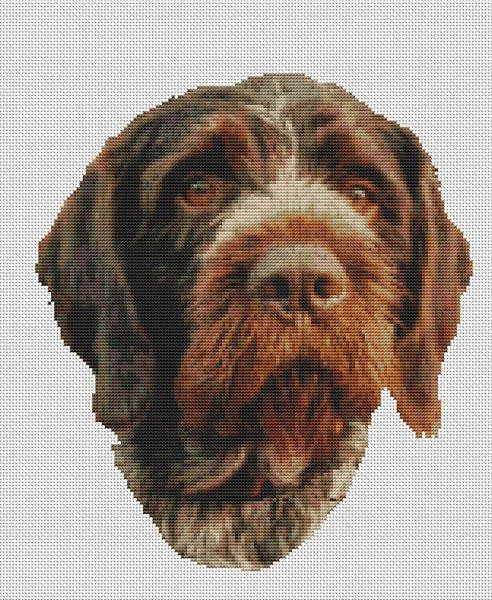 German Wirehaired Pionter / White Willow Stitching