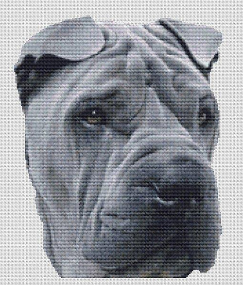 Blue Shar Pei / White Willow Stitching