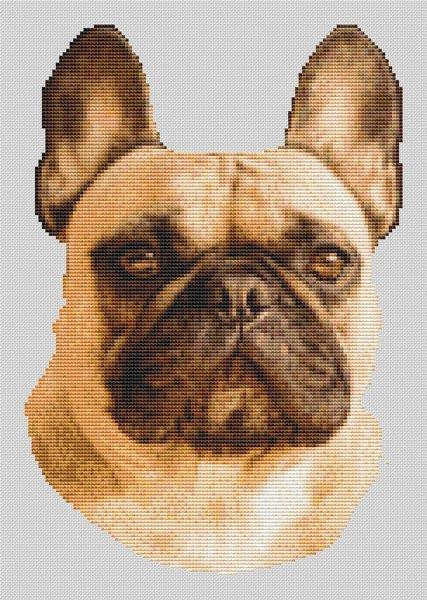 Fawn French Bulldog / White Willow Stitching