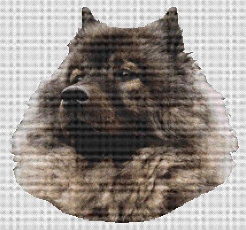 Keeshond 2 / White Willow Stitching