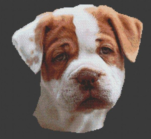 American Bulldog Puppy / White Willow Stitching