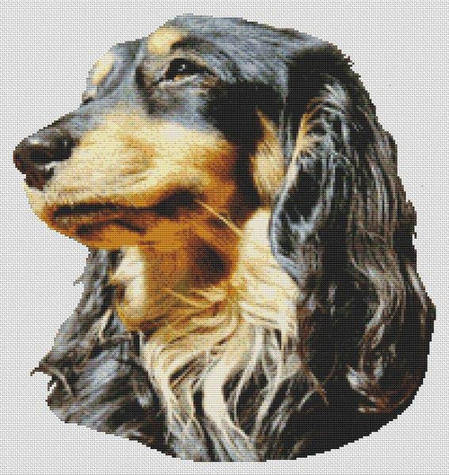 Black and Tan Long-haired Dachshund / White Willow Stitching