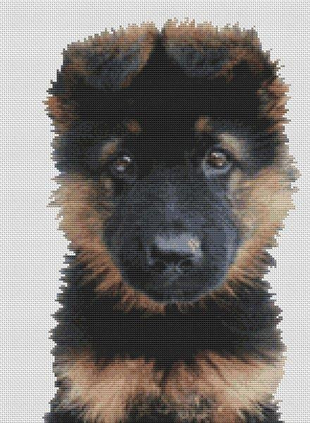 German Shepherd Puppy / White Willow Stitching