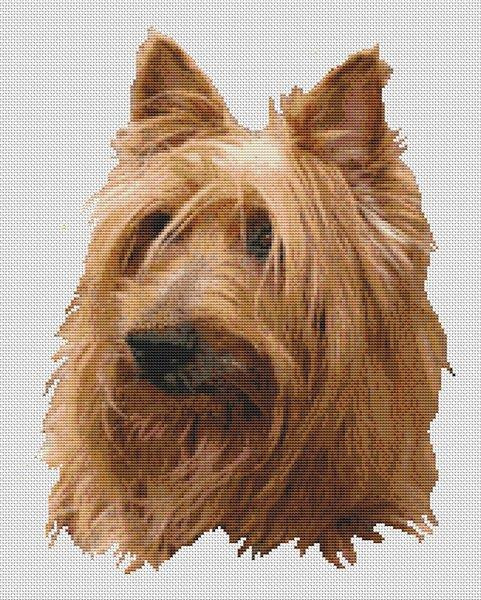 Australian Terrier / White Willow Stitching