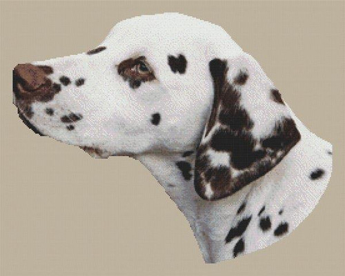 Dalmatian / White Willow Stitching