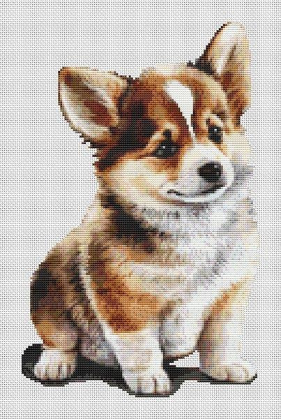 Corgi Puppy / White Willow Stitching