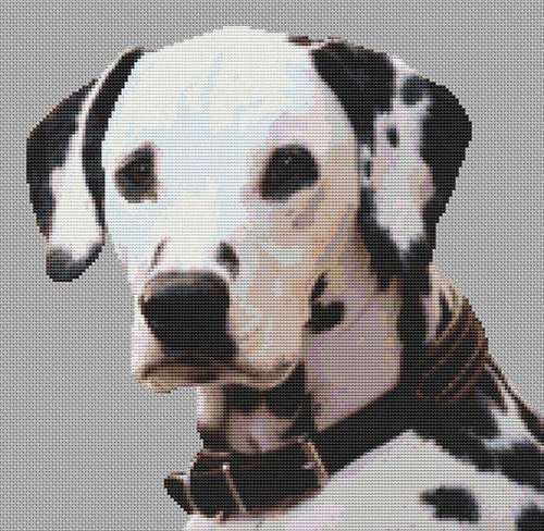 Dalmatian 3 / White Willow Stitching