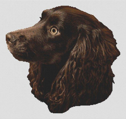 Boykin Spaniel / White Willow Stitching