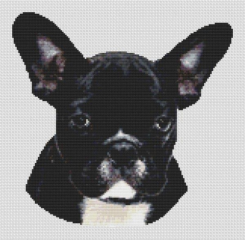 Black & White French Bulldog / White Willow Stitching
