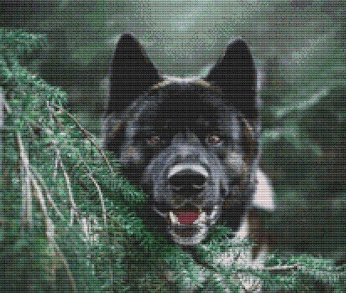 Akita Smile / White Willow Stitching