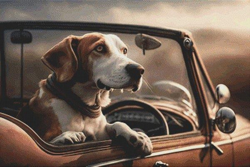 Going For A Ride - Treeing Walker Coonhound / White Willow Stitching