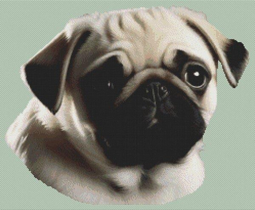 Fawn Pug 2 / White Willow Stitching