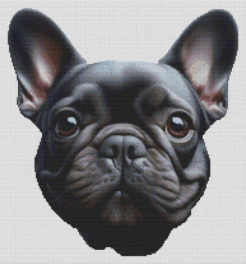 Black French Bulldog / White Willow Stitching