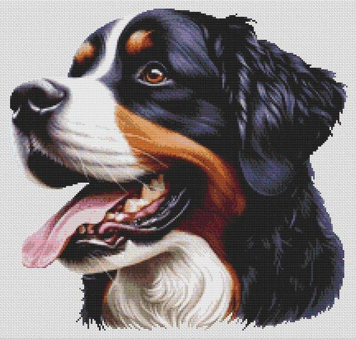 Bernese Mountain Dog 4 / White Willow Stitching
