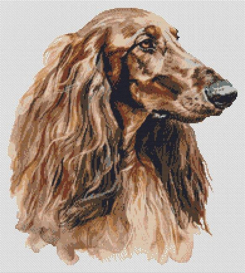 Afghan Hound / White Willow Stitching