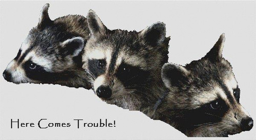 Here Comes Trouble / White Willow Stitching