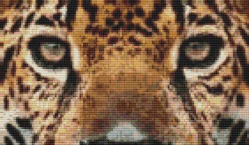 Jaguar Eyes / White Willow Stitching