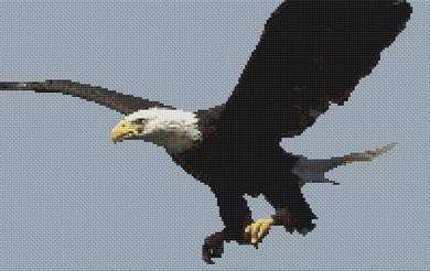 Bald Eagle 2 / White Willow Stitching