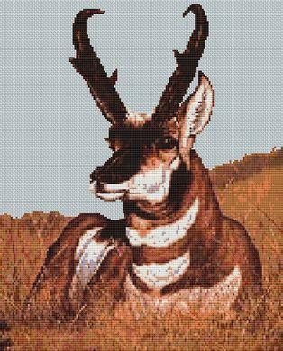 Antelope / White Willow Stitching
