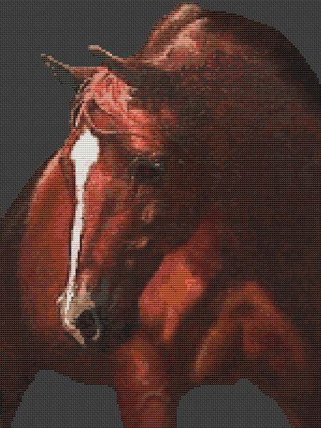 Arab Portrait / White Willow Stitching