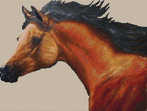 Bay Colt / White Willow Stitching