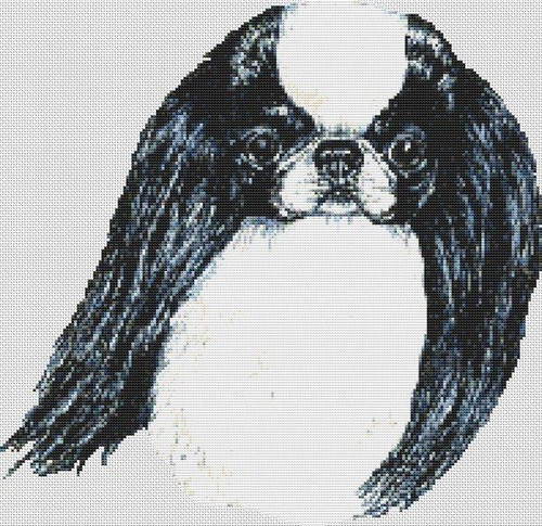 Japanese Chin - Black And White / White Willow Stitching