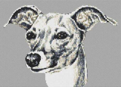 Italian Greyhound / White Willow Stitching