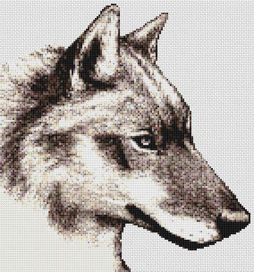Kalinka - Wolf / White Willow Stitching
