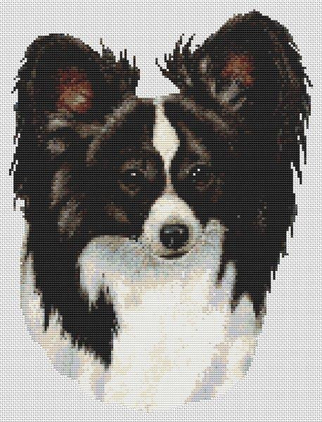 Black And White Papillon / White Willow Stitching