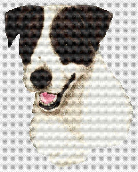 Jack Russell - Black & White / White Willow Stitching