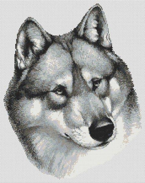 Aiko / White Willow Stitching