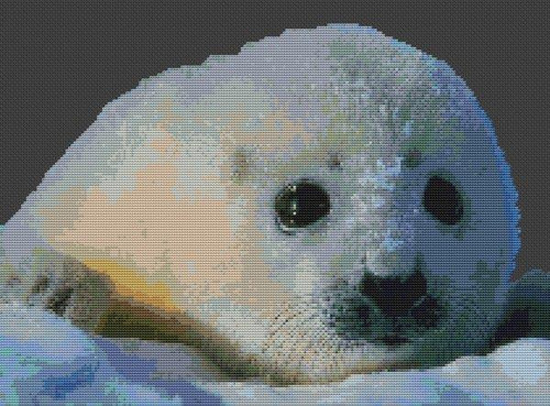 Baby Seal / White Willow Stitching