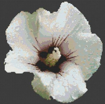 Hibiscus / White Willow Stitching