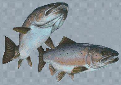 Arctic Salmon / White Willow Stitching