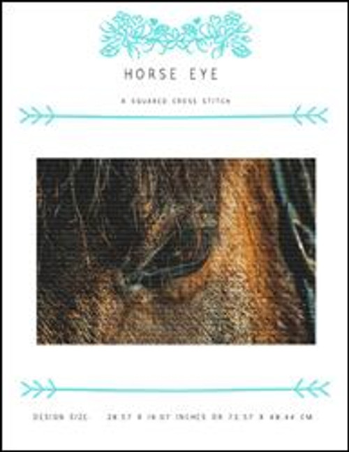 Horse Eye / X Squared Cross Stitch