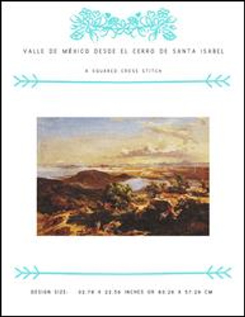 Valle De MÃ©xico Desde El Cerro De Santa Isabel / X Squared Cross Stitch