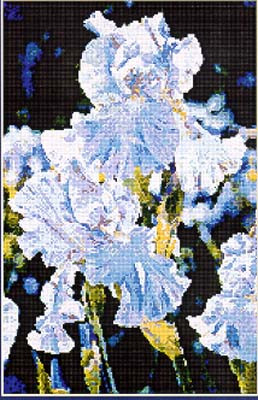 Iris / Kustom Krafts